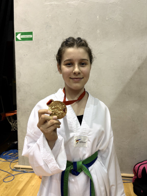 Tekvondo klub Novi Sad